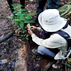 DEL 24 AL 27 DE ABRIL SE DESARROLLARÁ EN QUITO, CUENCA Y LOJA EL CITY NATURE CHALLENGE 2026